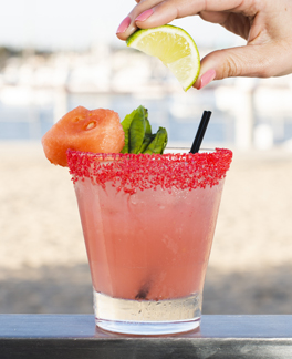 WatermelonBreeze0062